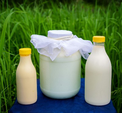 Milchprdukte für den Hund bei Nierenerkrankung