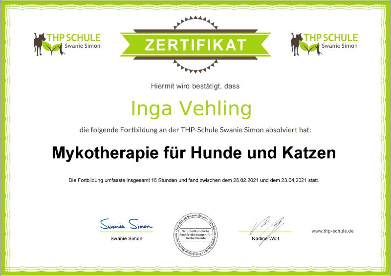 Mykotherapie für Hunde in Hamburg Mykotherapie für Hunde in Hamburg