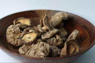 Vitalpilze für Hunde bei Krebs