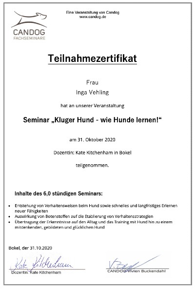 Wie Hunde lernen! – Kate Kitchenham Wie Hunde lernen! – Kate Kitchenham